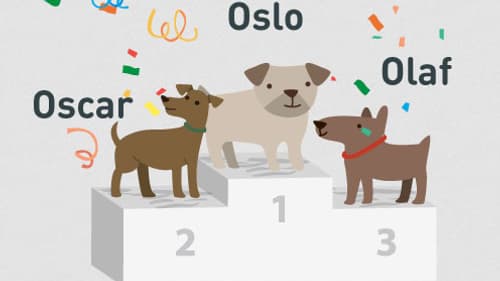 Prénoms chiens Prénoms chiens