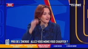  Prix de l’énergie : "Ils ne foutent rien dans ce gouvernement !", tacle Barbara Lefebvre 