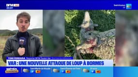 JT du Sud du lundi 9 décembre