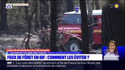 Île-de-France: éviter les feux de forêt, "c'est l'affaire de tous"