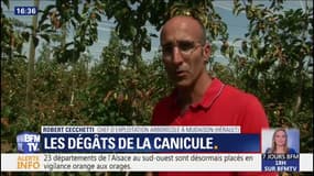 Les agriculteurs font les comptes des dégâts causés par la canicule