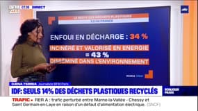 Île-de-France: seuls 14% des déchets plastiques recyclés