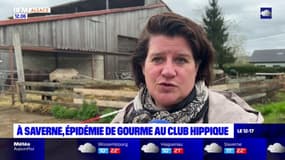 Saverne: une épidémie de gourme cause la fermeture d'un club hippique