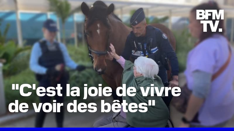 Les chevaux de la police municipale de Cannes auprès des seniors dans un Ehpad