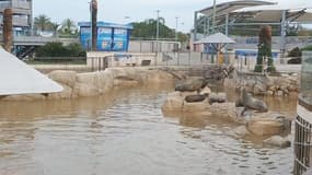 Le parc Marineland, touché lui aussi par les intempéries, est fermé jusqu'à nouvel ordre.