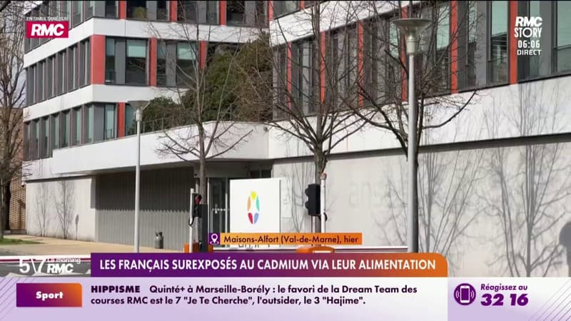 Les français surexposés au cadmium via leur alimentation