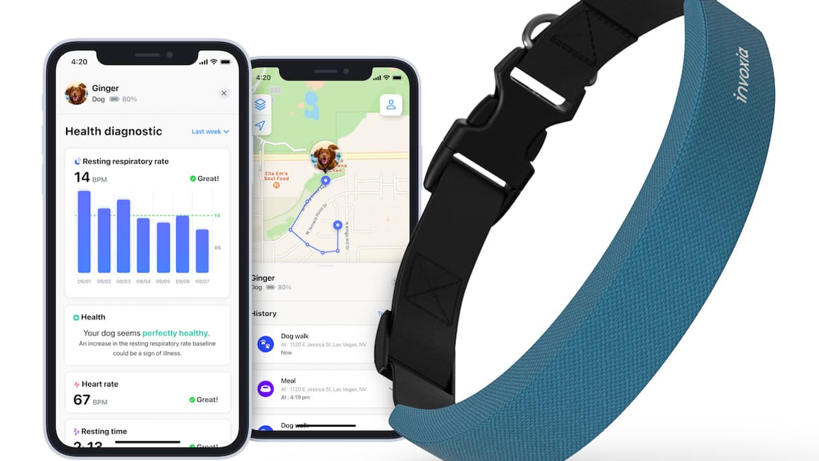 Invoxia Smart Dog Collar Invoxia Smart Dog Collar