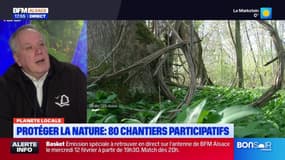 Planète locale du mercredi 5 février - Sites naturels en Alsace : devenez bénévole ! 