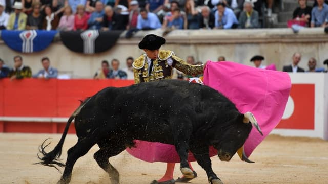 La ville de Nîmes organise tous les ans des corridas à l'occasion de sa Feria de la Pentecôte, ici le 19 mai 2018