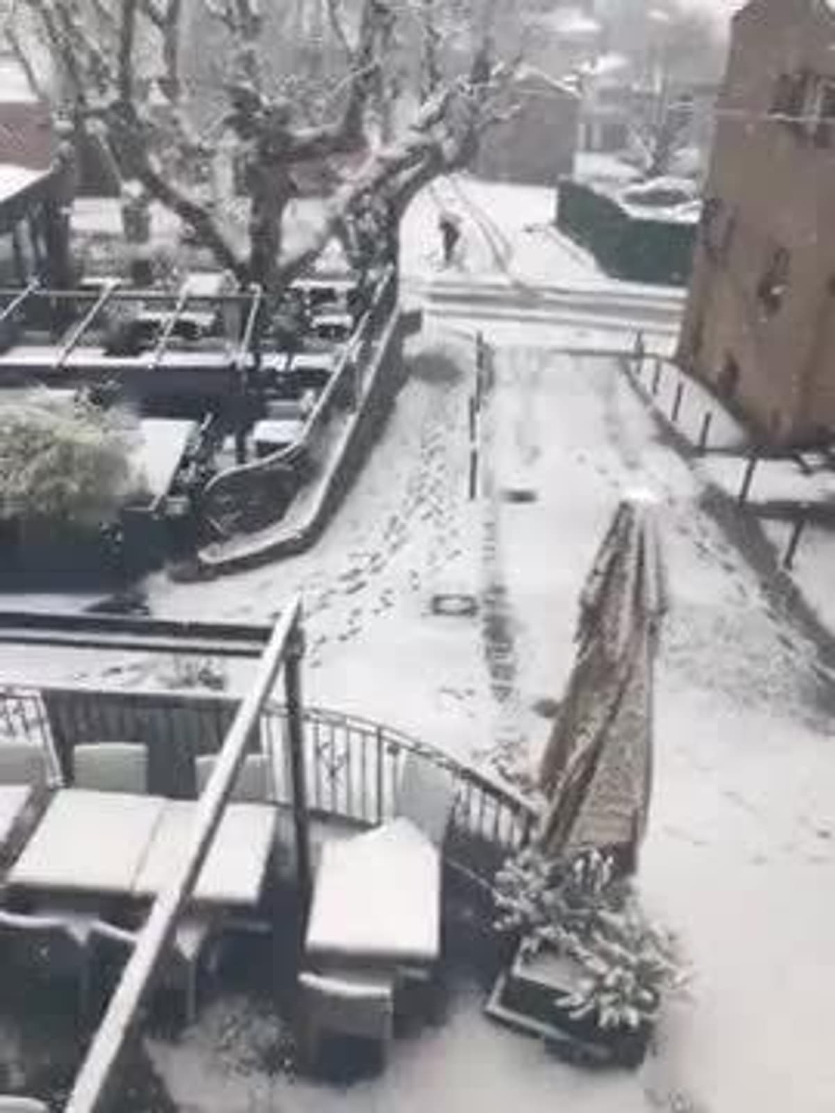 placeholder video