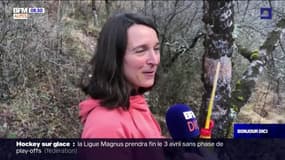  "Tout terrain": au cœur des sentiers du Sisteronais-Buëch