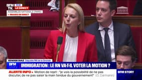 Loi immigration: "Votre texte est invotable pour les députés du RN", lance Edwige Diaz à Gérald Darmanin