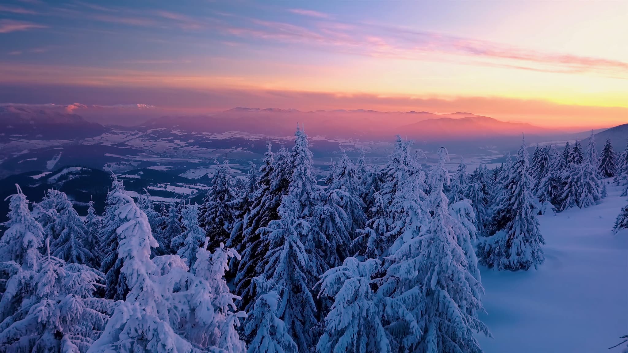 Une image tirée d'une vidéo en 8K de la chaîne 8K Videos Ultra HD. Une image tirée d'une vidéo en 8K de la chaîne 8K Videos Ultra HD.