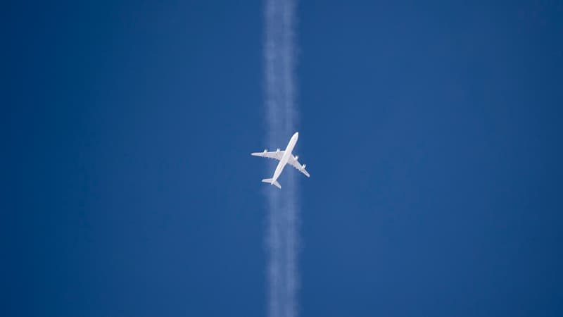 Les deux femmes ont sympathisé dans l'avion 