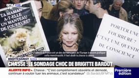"Une monstruosité": Brigitte Bardot appelle à l'abolition de la chasse à courre "maintenant"