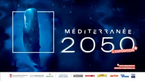 « Méditerranée 2050 », au Musée Océanographique de Monaco en mars 2025