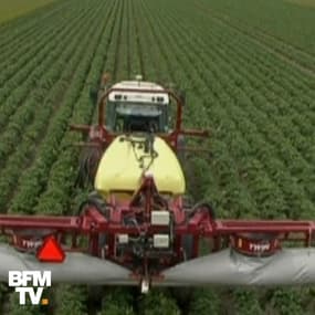 Comment l'agriculture pourrait consommer moins d'eau ?