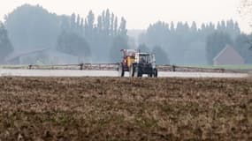 Les agriculteurs, hormis les céréaliers, ont vu leurs revenus augmenté de 1% en moyenne. 