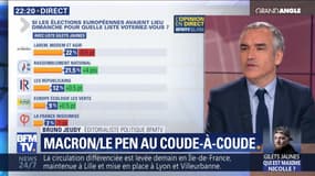 Européennes: Emmanuel Macron et Marine Le Pen au coude-à-coude (1/3)