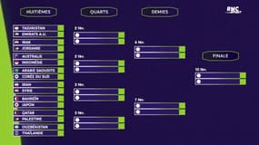Coupe d'Asie : Les 6 joueurs de Ligue 1 encore en lice en huitièmes