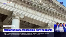 Féminicide jugé à Strasbourg: les avocats de la défense et des parties civiles réagissent après le deuxième jour du procès