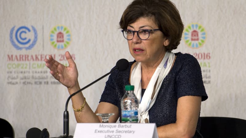 Monique Barbut, une ancienne présidente de WWF nommée au ministère de la Transition écologique