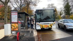Un bus de la CTS, à Strasbourg, en novembre 2023 (image d'illustration).