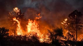 Des incendies, attisés par un vent violent, ont fait au moins 34 morts en Algérie