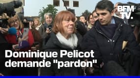 Mazan: Gisèle Pelicot applaudie à sa sortie du tribunal, Dominique Pelicot présente ses excuses