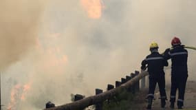 Les pompiers essaient d'éteindre le feu à l'aide d'une lance à incendie à Castagniers près de Nice le 17 juillet 2017.