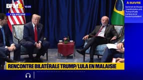 Tensions Brésil/USA: "Nous allons conclure quelques accords", affirme Donald Trump
