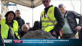 "Il est sérieux?", le report des annonces d'Emmanuel Macron frustre des "gilets jaunes"