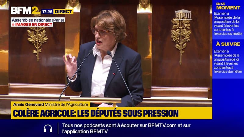 Loi Duplomb: la charge d'Annie Genevard contre LFI et les Verts