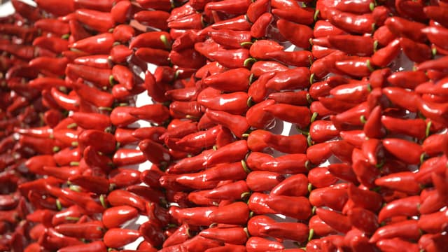 Piment - illustration