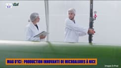 Industries du Futur : production innovante de microalgues à Nice