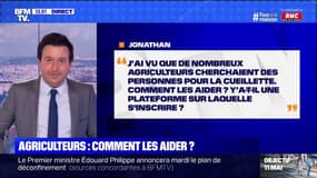 Comment aider les agriculteurs pour les cueillettes ? BFMTV répond à vos questions