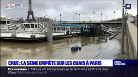 Crue: la Seine empiète sur les quais à Paris