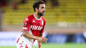 Cesc Fabregas