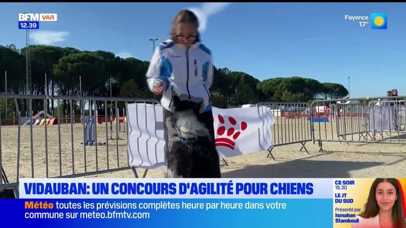 Vidauban: retour sur le grand prix de France d'agilité pour chiens