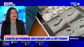 Lille: des essais cliniques pour tester une molécule de betterave contre le cancer du poumon