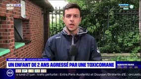 Un enfant de 2 ans agressé par une toxicomane près des jardins d'Éole