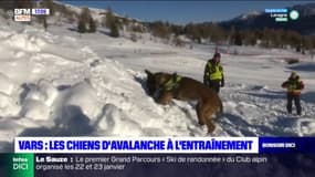 Vars: une simulation d'avalanche pour entraîner les chiens à retrouver des victimes ensevelies