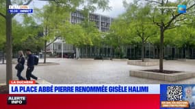 Les Lyonnais ont choisi de renommer la place Abbé-Pierre en l'honneur de Gisèle Halimi
