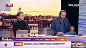 L'histoire de Charles Magnien : Que vont devenir les hippopotames de Pablo Escobar ? - 06/03