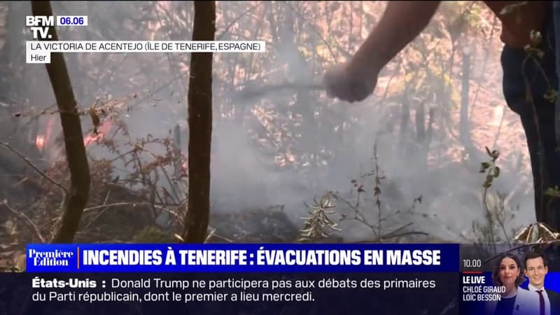 Incendie à Tenerife: le feu n'est toujours pas contrôlé, plus de 12.000 personnes évacuées