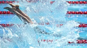 Mondiaux de natation