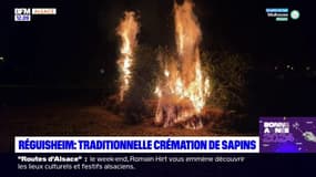 "Tourner la page sur l'année passée": à Réguisheim, la traditionnelle crémation des sapins de noël