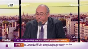 Lechypre du jour : il y a 25 % de familles monoparentales en France.
