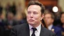 Elon Musk, le 13 novembre 2024