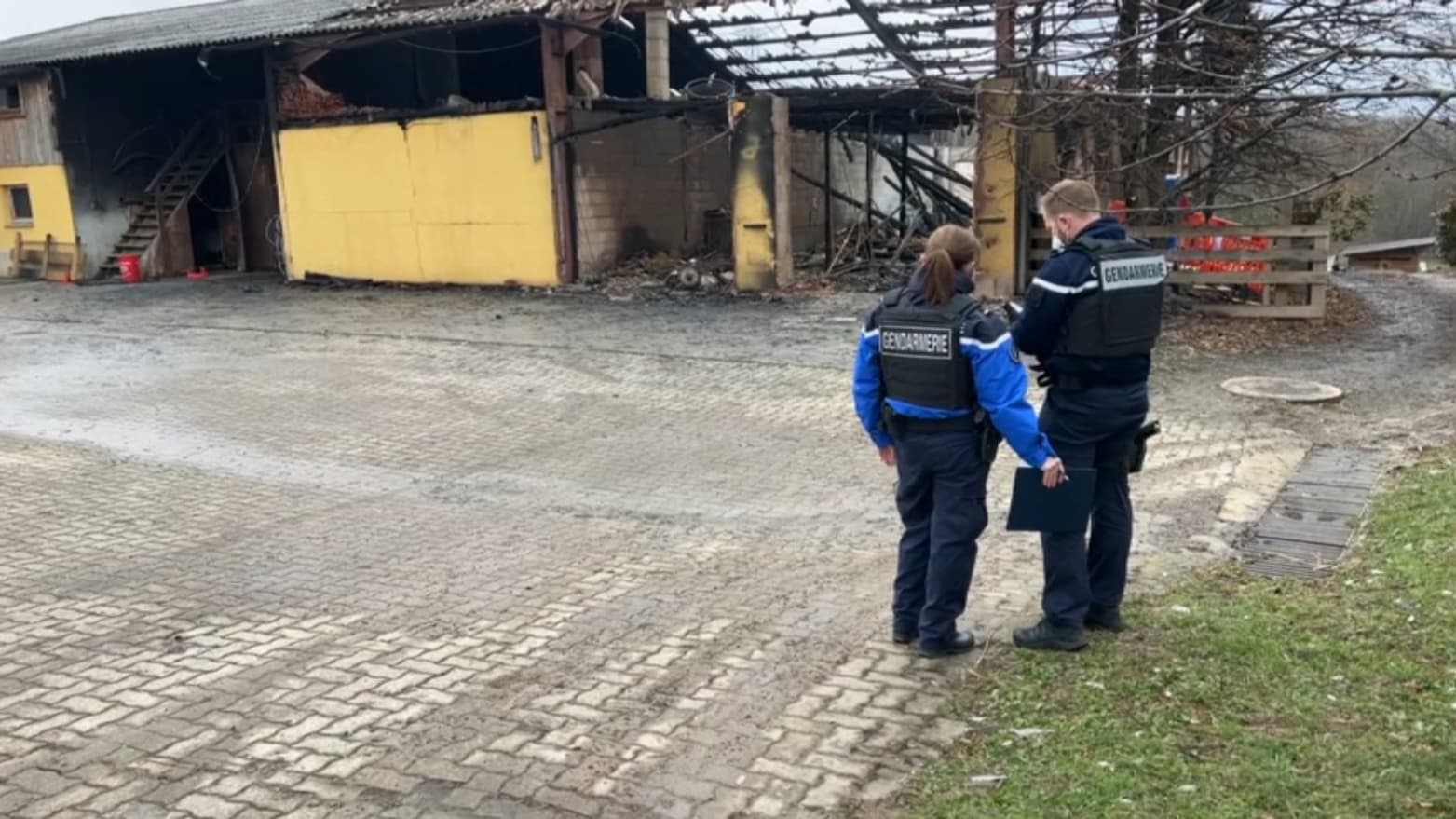 Un incendie a ravagé une exploitation agricole abritant des chèvres à Nordheim. Un incendie a ravagé une exploitation agricole abritant des chèvres à Nordheim.